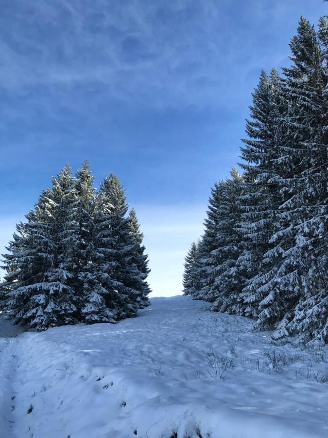 Kleine Ferienwohnung Am Rande Der Wildnis Sibratsgfall Экстерьер фото